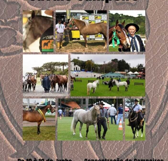 26ª Exposição Nacional – Cavalo Campeiro – Lista Dos Resultados Do Julgamento